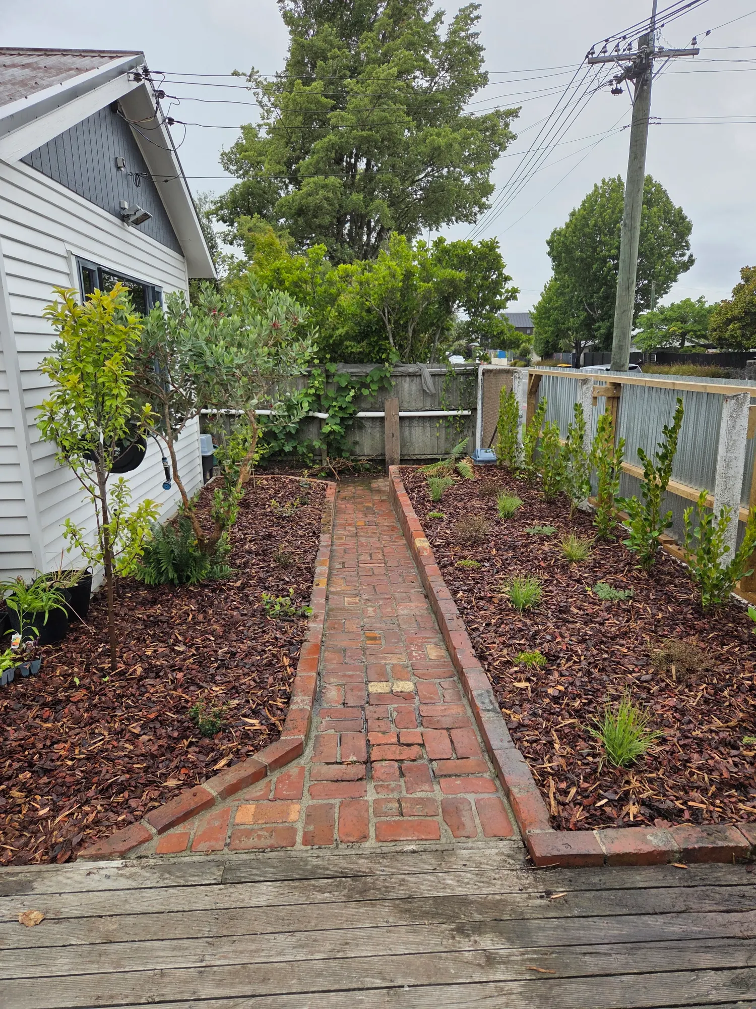 Brick path border planting