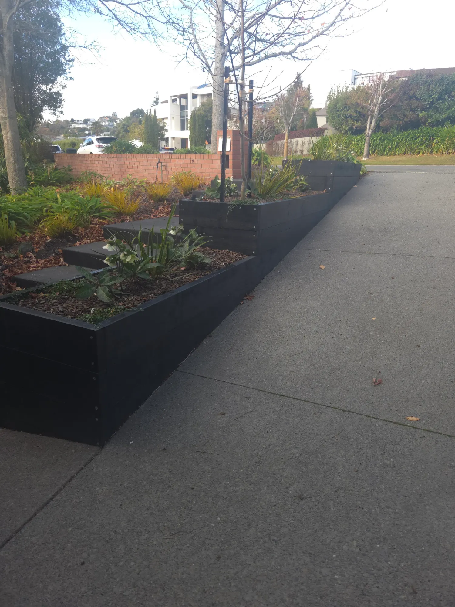Raised bed along the driveway