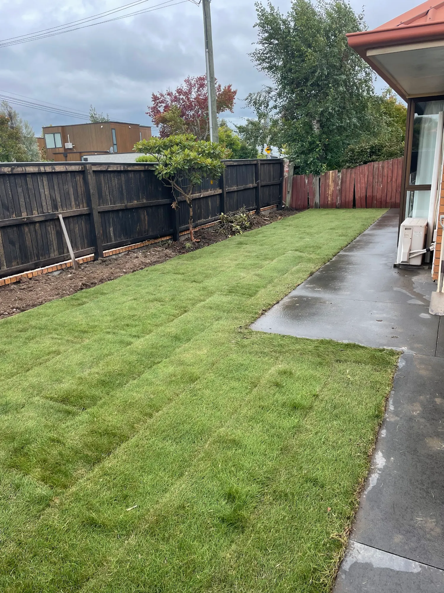 New lawn