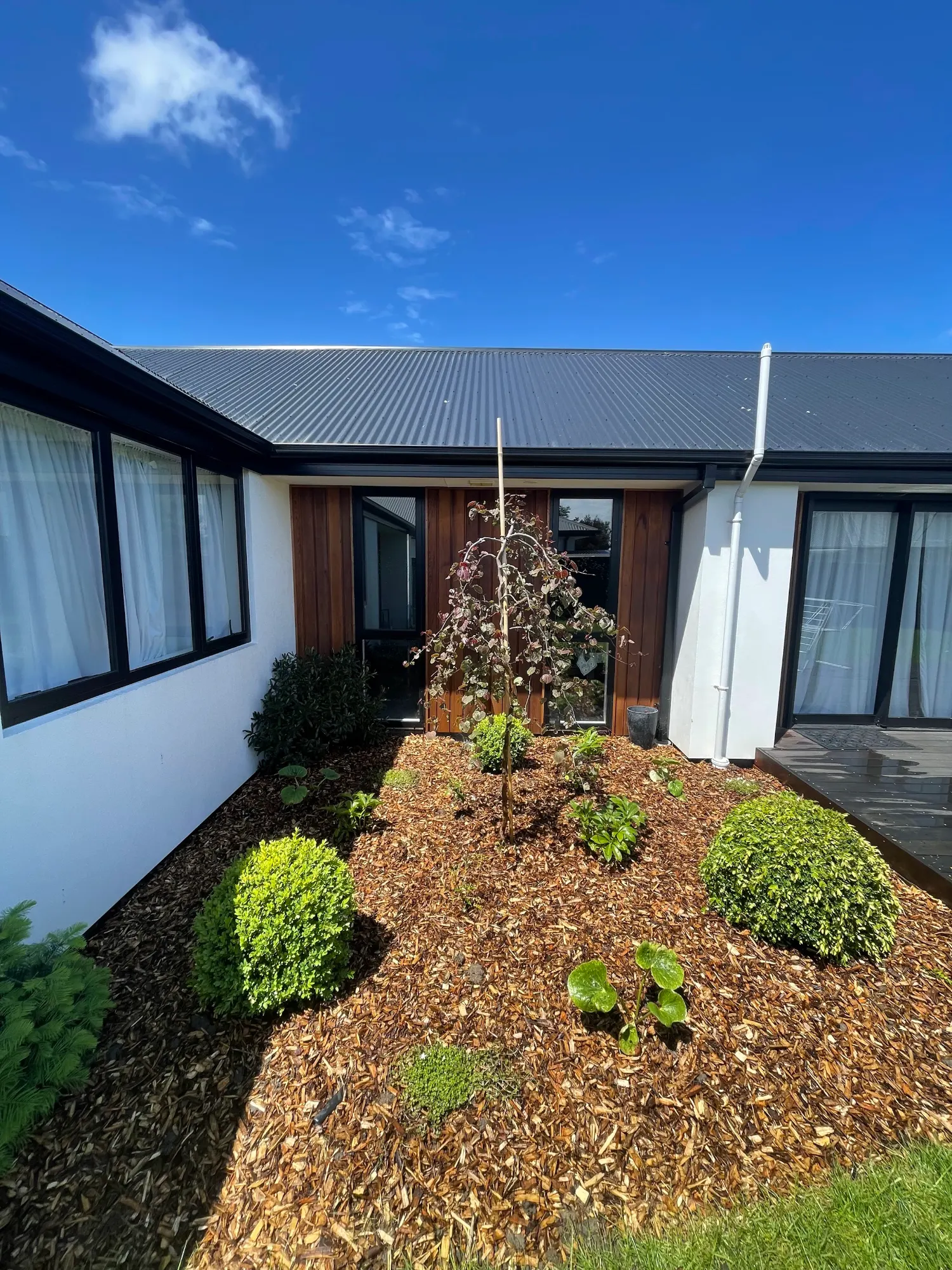 Front entrance planting